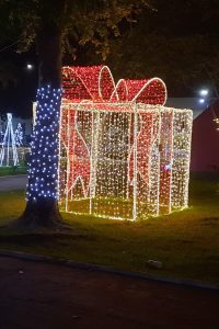 20221209_225001-scaled